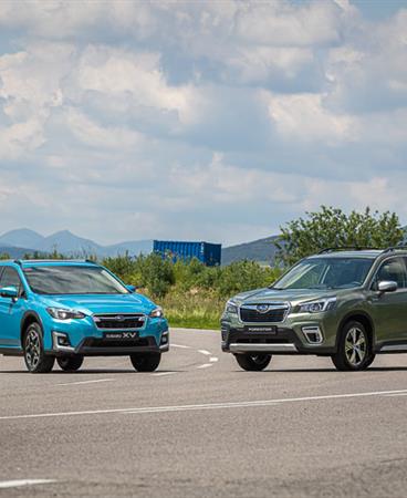 Forester and XV_low-003-23429